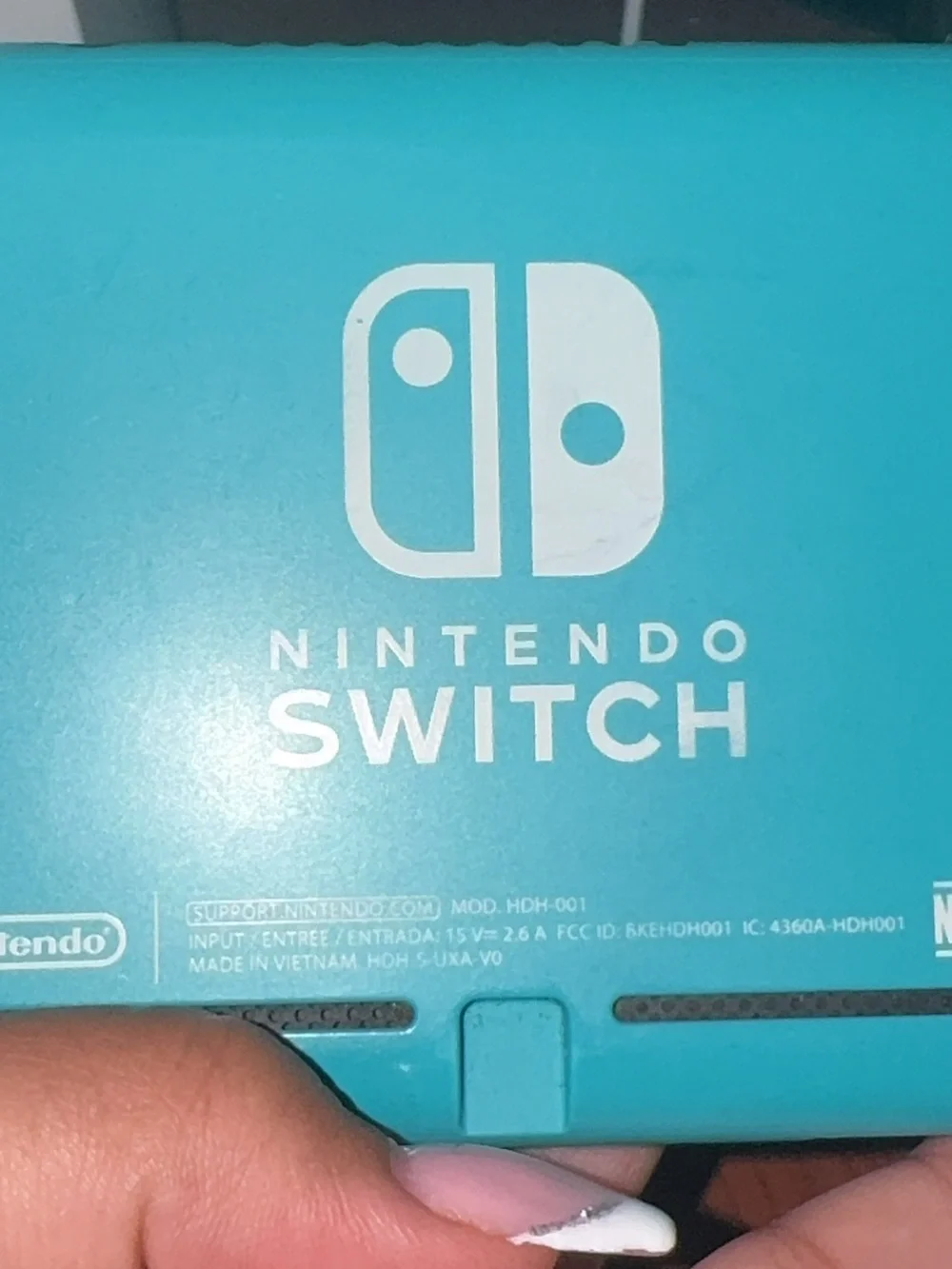 Nintendo switch lite